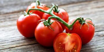 7 loại thực phẩm giúp bảo vệ da, chống tia cực tím trong mùa hè