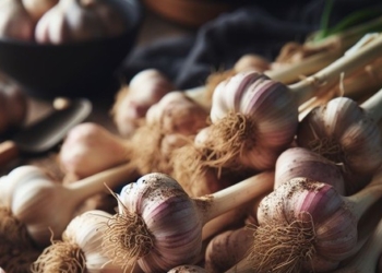 Nguồn collagen từ thực vật giúp làn da luôn săn chắc, trẻ trung